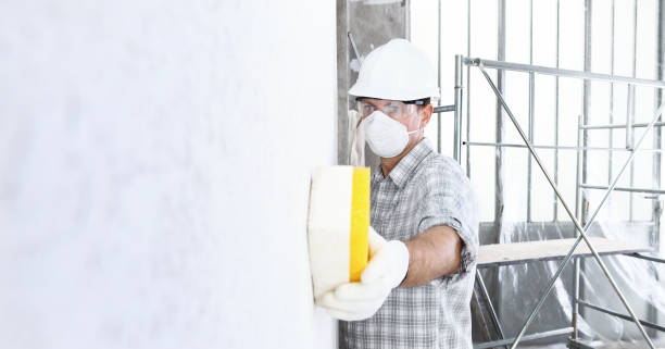 Why You Should Choose Our Mold Remediation Services in Hebron, PA