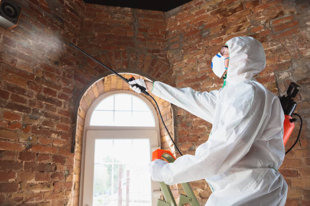 Best Commercial Mold Inspection  in Hebron, PA