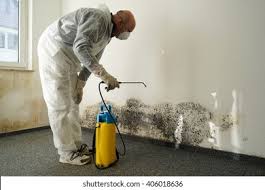 Best Basement Mold Removal  in Hebron, PA